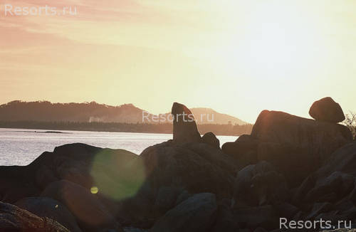 Rocky Resort 49